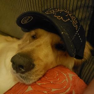 Meet your Posher, Brandy